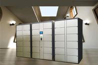 36 Doors Automatic Storage Luggage Lockers For Gym Swimming Pool Water Park with Steel Enclosure